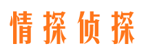 五指山外遇出轨调查取证